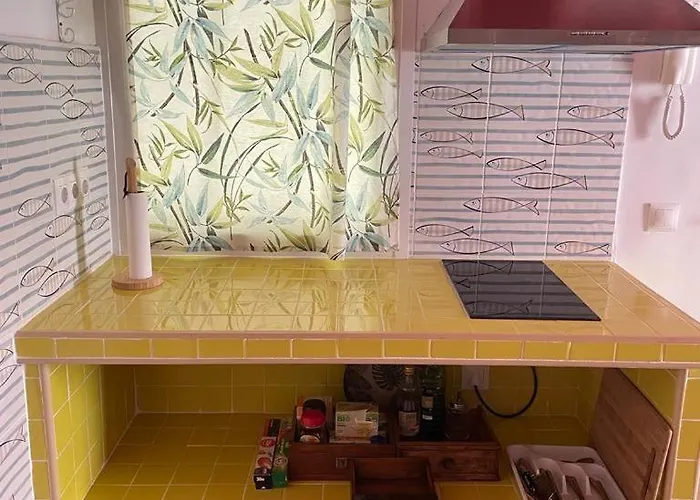 La Selva - Rafael De La Viesca * 카디스