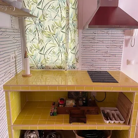 La Selva - Rafael De La Viesca * Cádiz